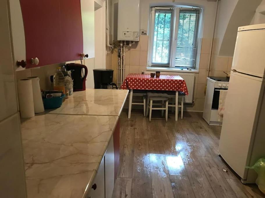 R Castle - 2 Room Apartment Брашов Екстер'єр фото